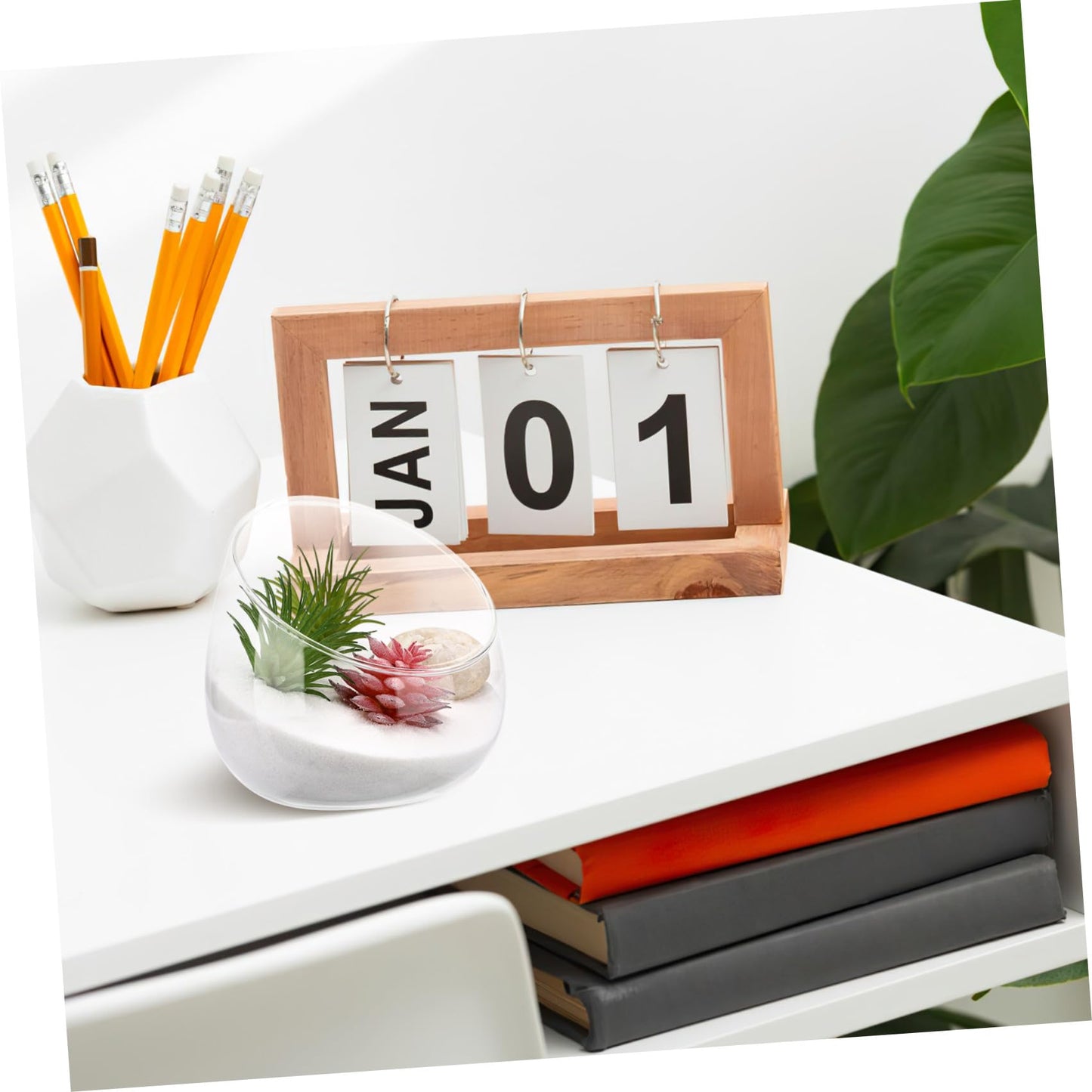Abaodam 1Pc Transparent Succulent Bottle Decor Micro Landscape Glass Bottle for Home Store for Air Plants Moss Terrariums Elegant Decoration for Space