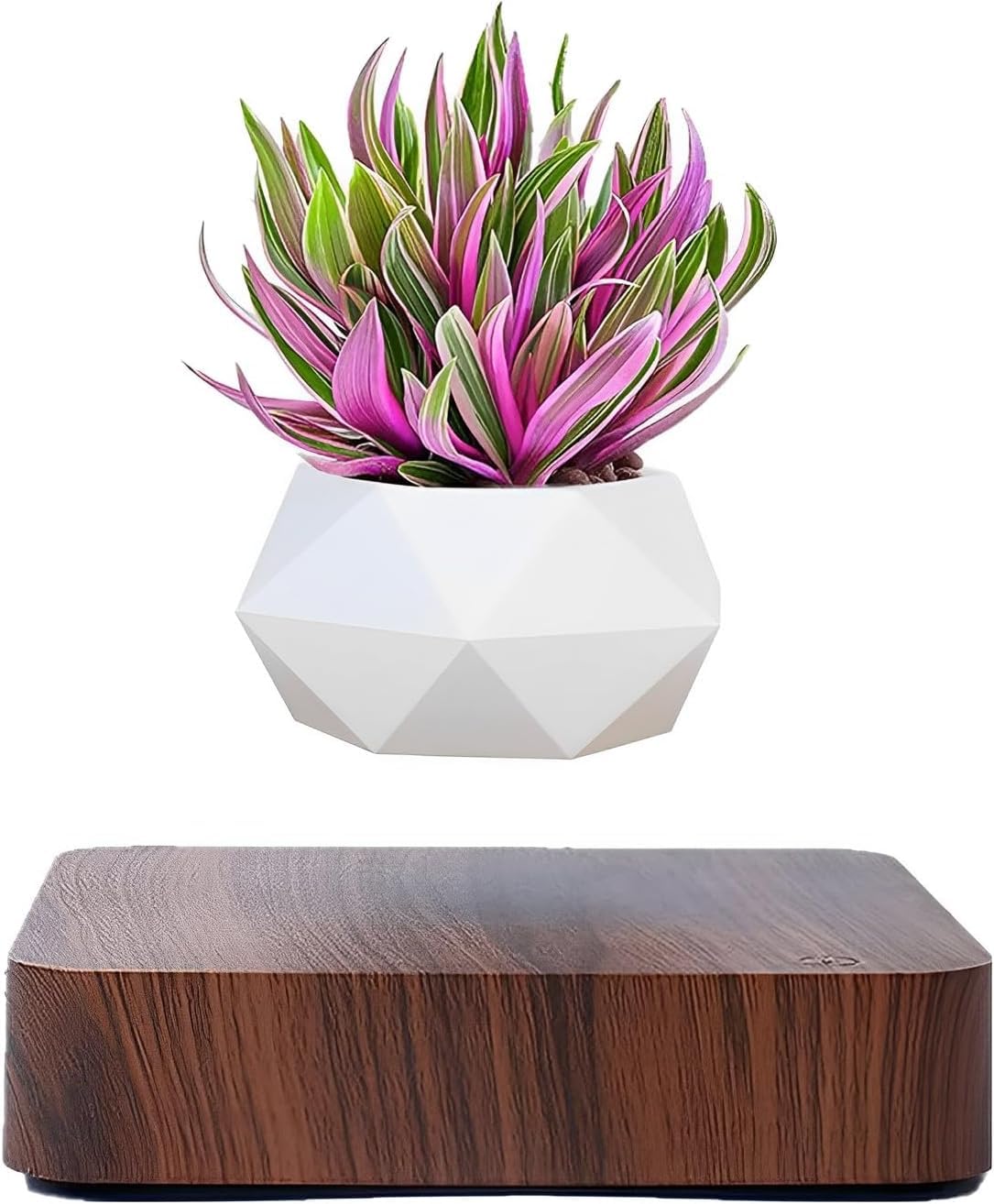 Babook Levitating Air Bonsai Pot,Cool Stuff, Rotation Flower Pot Planters, Potted Plant Home Desk Decor in Flower Pots & Planters from Home & Garden on (Dark Color)