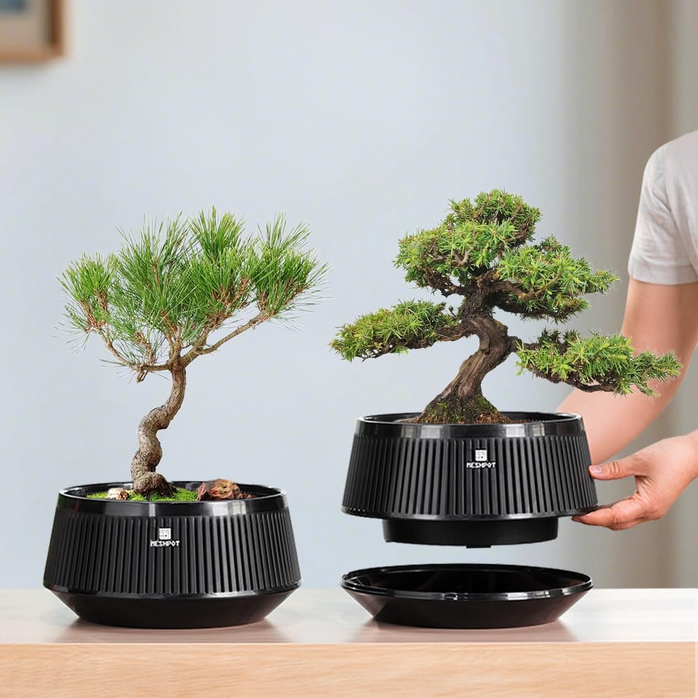 Meshpot 8 Inch Bonsai Pots with Drainage Tray, Set of 1, Plastic Imitate Ceramic Bonsai Tree Pot with Excellent Airflow, Large Succulent Pots for Indoor Plants, Juniper, Ficus, Chinese Elm, Cactus