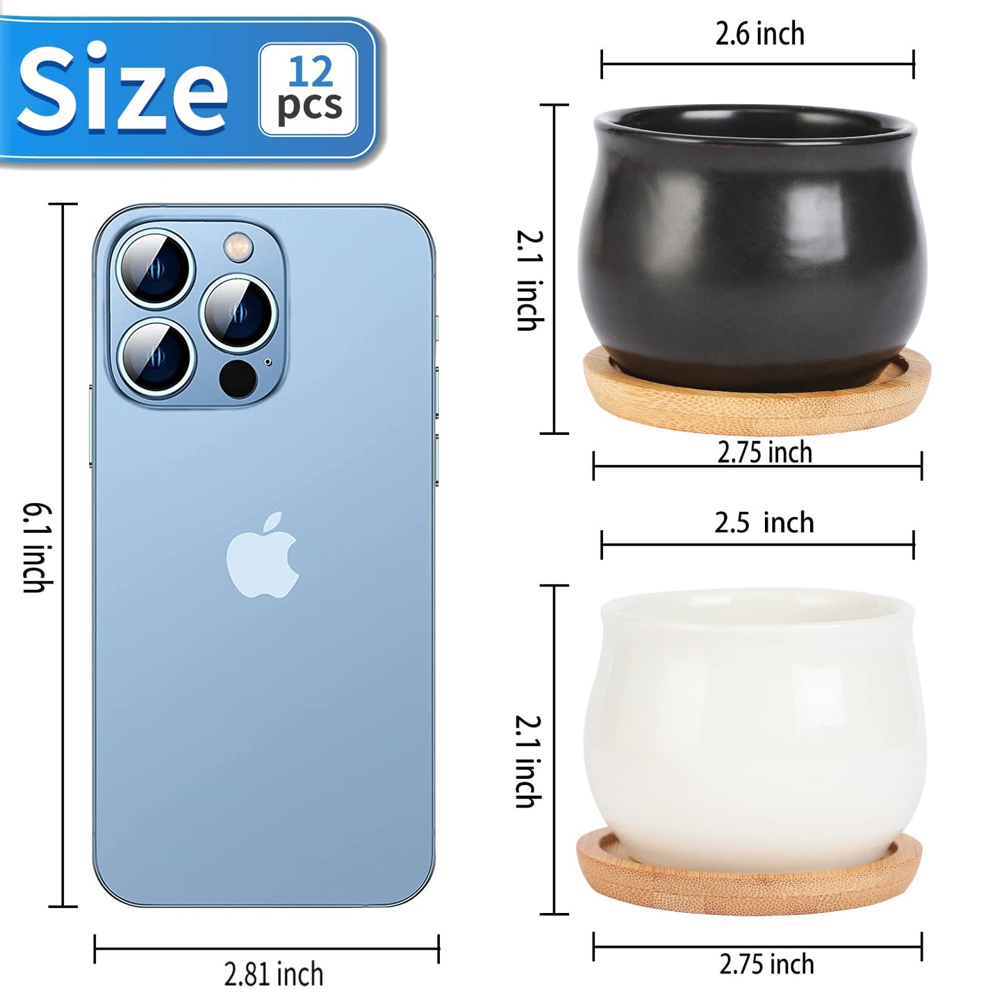 SHECIPIN 12 Pack Succulent Plant Pot, Mini 2.6 inch Ceramic Flower Planter Pot with Bamboo Tray, Small Pots for Plants, Plants Not Included （White, Black）