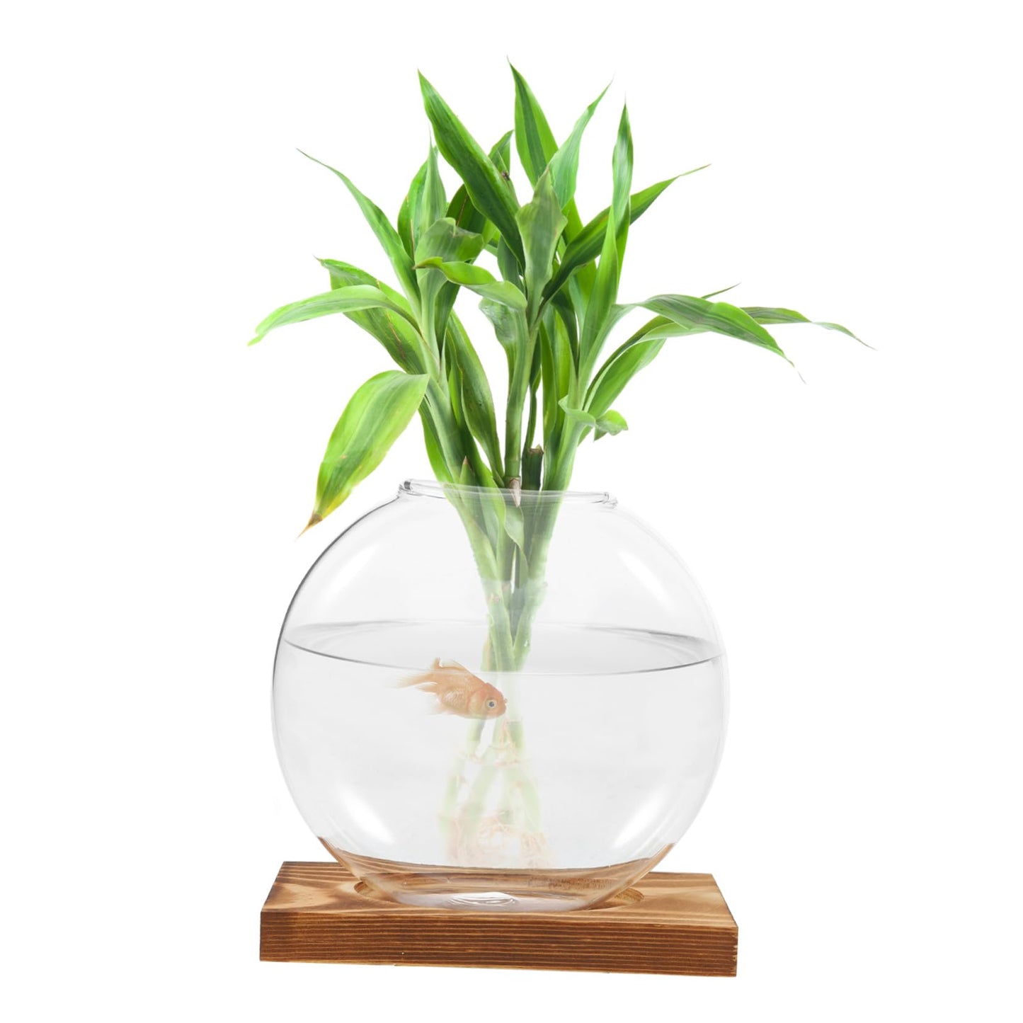 SEWOART Rustic Hydroponic Vase Glass Terrarium Bowl Indoor Greenery Decor Wooden Base Plant Propagation Station for Home Office