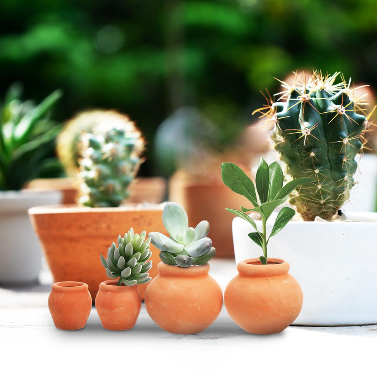 Mipcase 4pcs Mini Terracotta Succulent Pots Cute Nursery Containers for Indoor Plants Small Flower Breeding Pots Drainage Decorative Garden Planters for Home Office