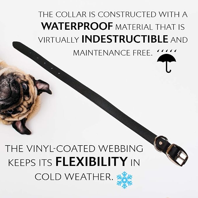 Regal Dog Products Medium Black Waterproof Dog Collar and Leash Set | Heavy Duty Double Buckle & D Ring - 5'ft Leash | Adjustable Biothane Dog Collar | Chew Resistant Waterproof Collar for Dogs
