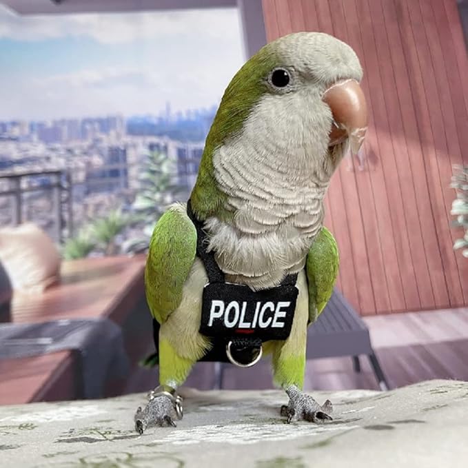 Bird Clothes Parrot Diapers Bird Flight Suits, Reusable Waterproof Diapers pet Bird Supplies (XS)