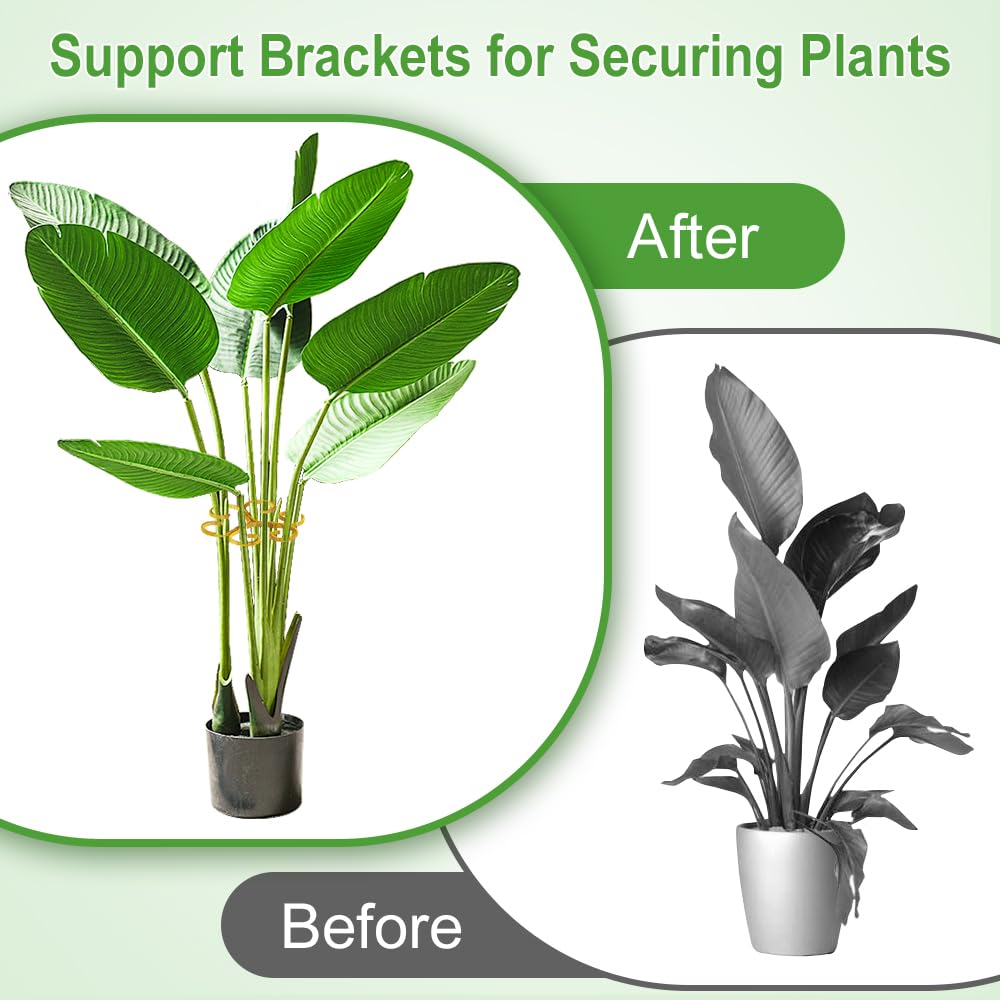 BADAO 6pcs Monstera Plant Support,Iron Stabilizer Grapple Holder for Indoor Plants,Outdoor Moss Pole Monstera Plant Support for Garden Flower Arranger(Gold)