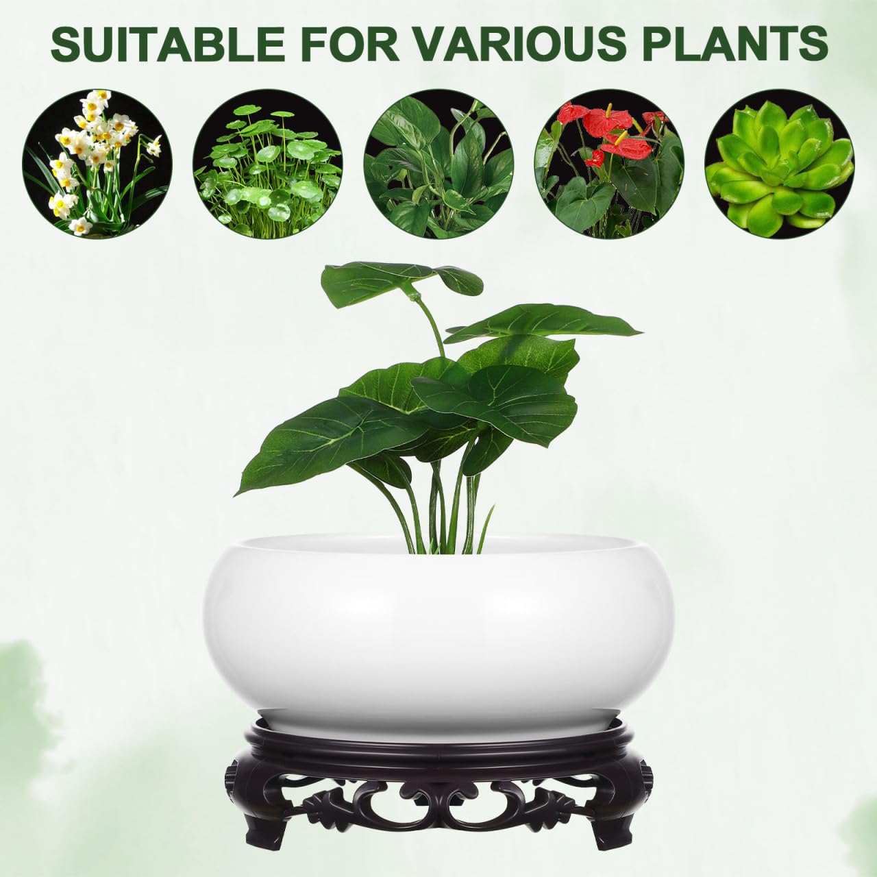 Toddmomy 6.3 Inch Lotus Ceramic Bowl Planter, Hydroponic Pot with Detachable Base, No Drainage Hole Container for Indoor Zen Decor, Office Desktop Water Gardening
