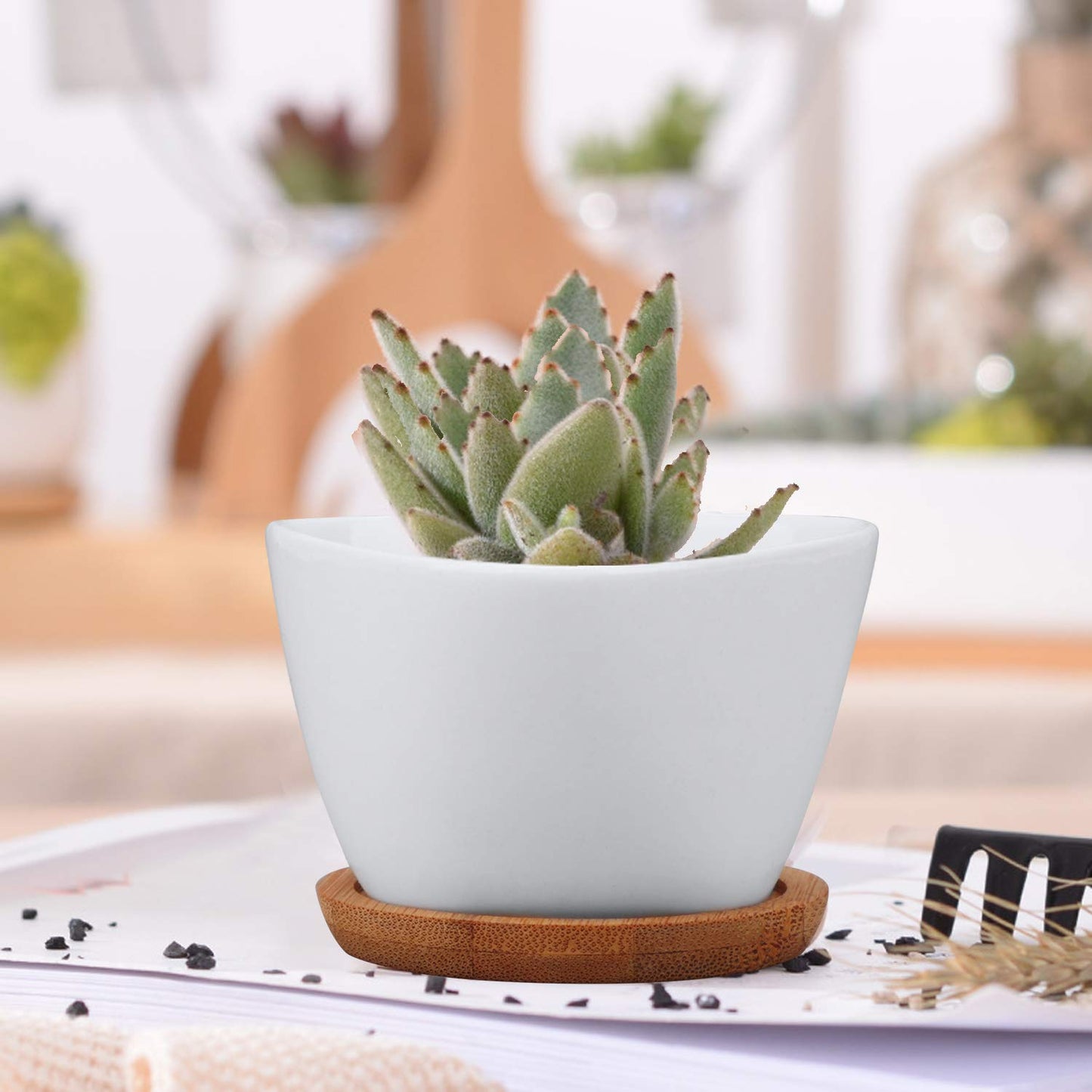 Brajttt Succluent Pots ，Small Flower Pots Planter Pots with Drinage,Ceramic Flowers Pots with Bamboo Tray for Cactus(12 Pack)