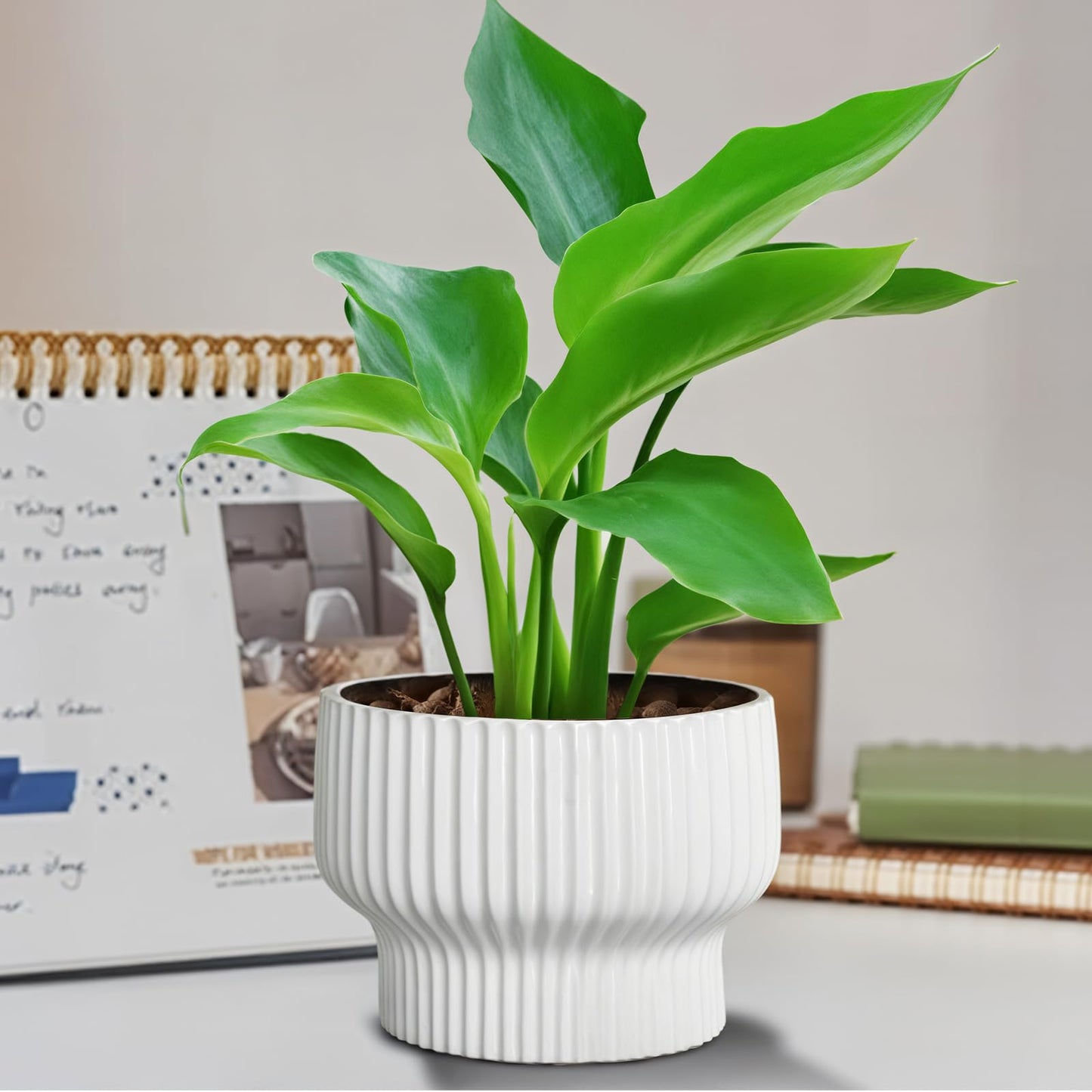 OXART Ceramic Pots for Plants, 9.4+8+6 Inch Flower Pots, Set of 3, Large Planters with Drainage Hole, Stylish Round Flower Pot for Home, Garder and Office, Gifts for Mom, White