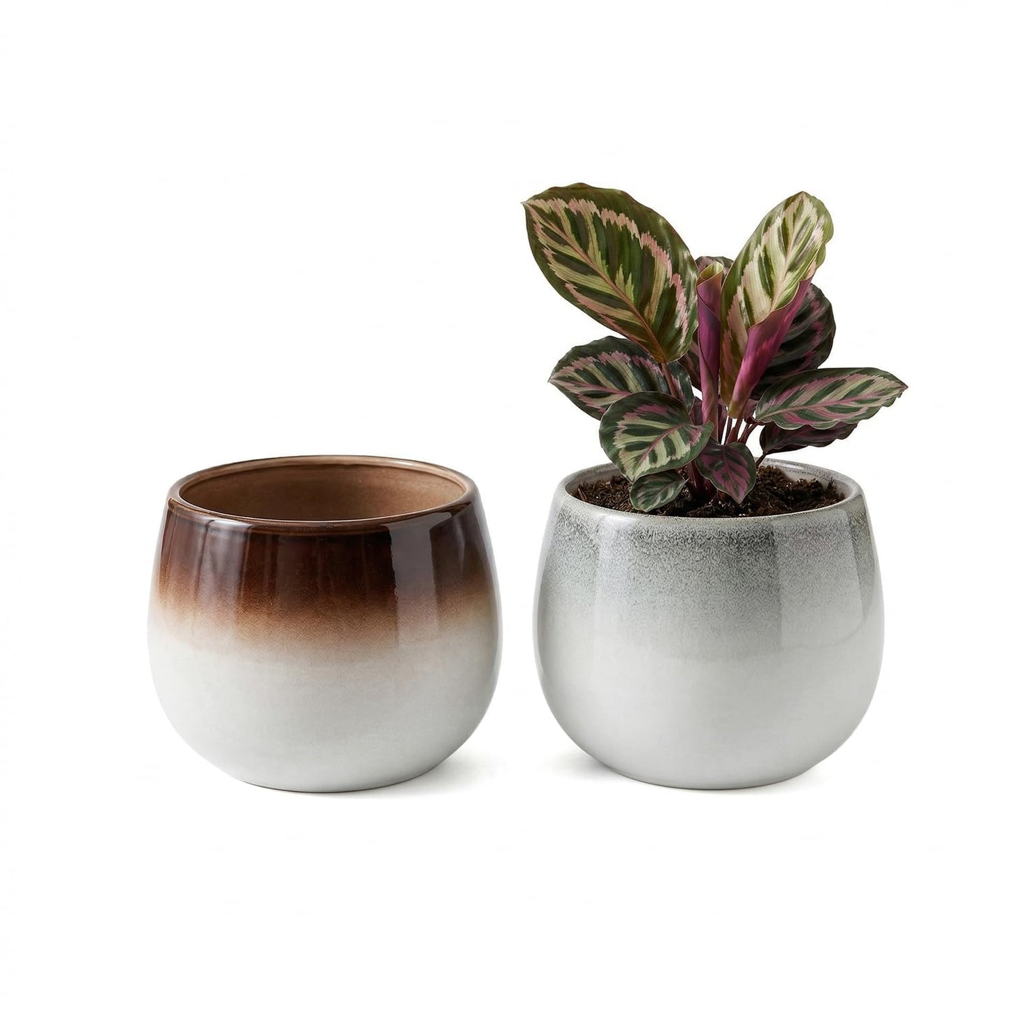 Sin wings 5.6 Inch Ombre Glazed Ceramic Planter Set, Round Bulbous Flower Pot with Drainage Hole, Modern Gradient Indoor Plant Pot for Calathea, Pothos, and Houseplants, Home Decor, 2 Pack