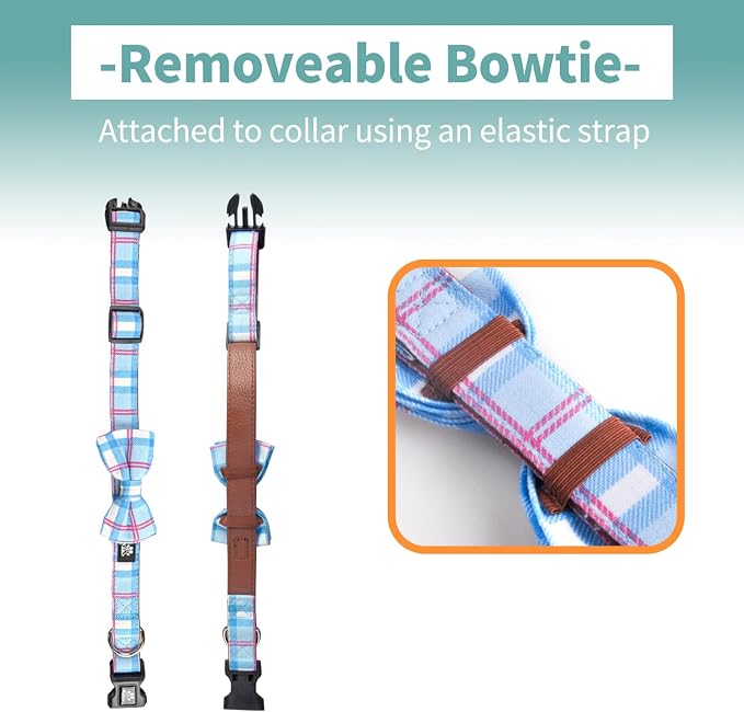 IVY&LANE Dog Collar with Bowtie and Leash Set | Plaid Adjustable Dog Collar | Detachable Bow Tie |5 FT Dog Leash | for Small Medium Large Dogs | Checkered Blue | Small