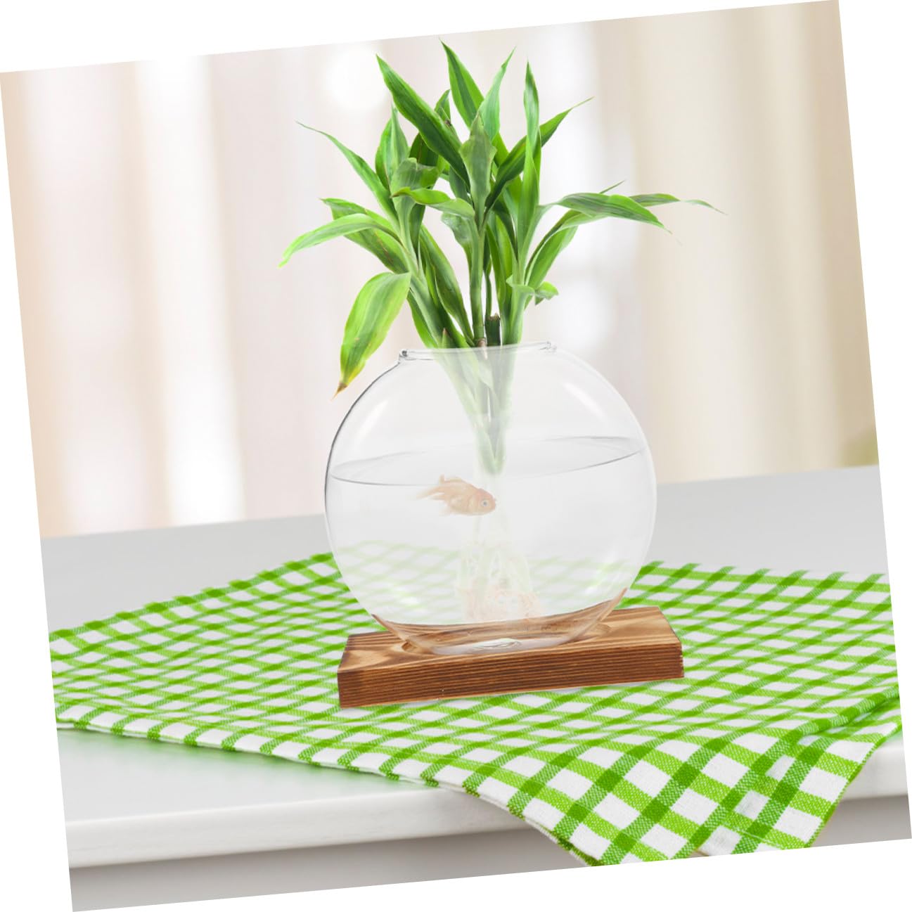 Ipetboom 2pcs Small Glass Propagation Vases with Wooden Base, Hydroponic Plant Terrariums for Home Office Desk, Glass Planter Suitable for Indoor Plant Cultivation