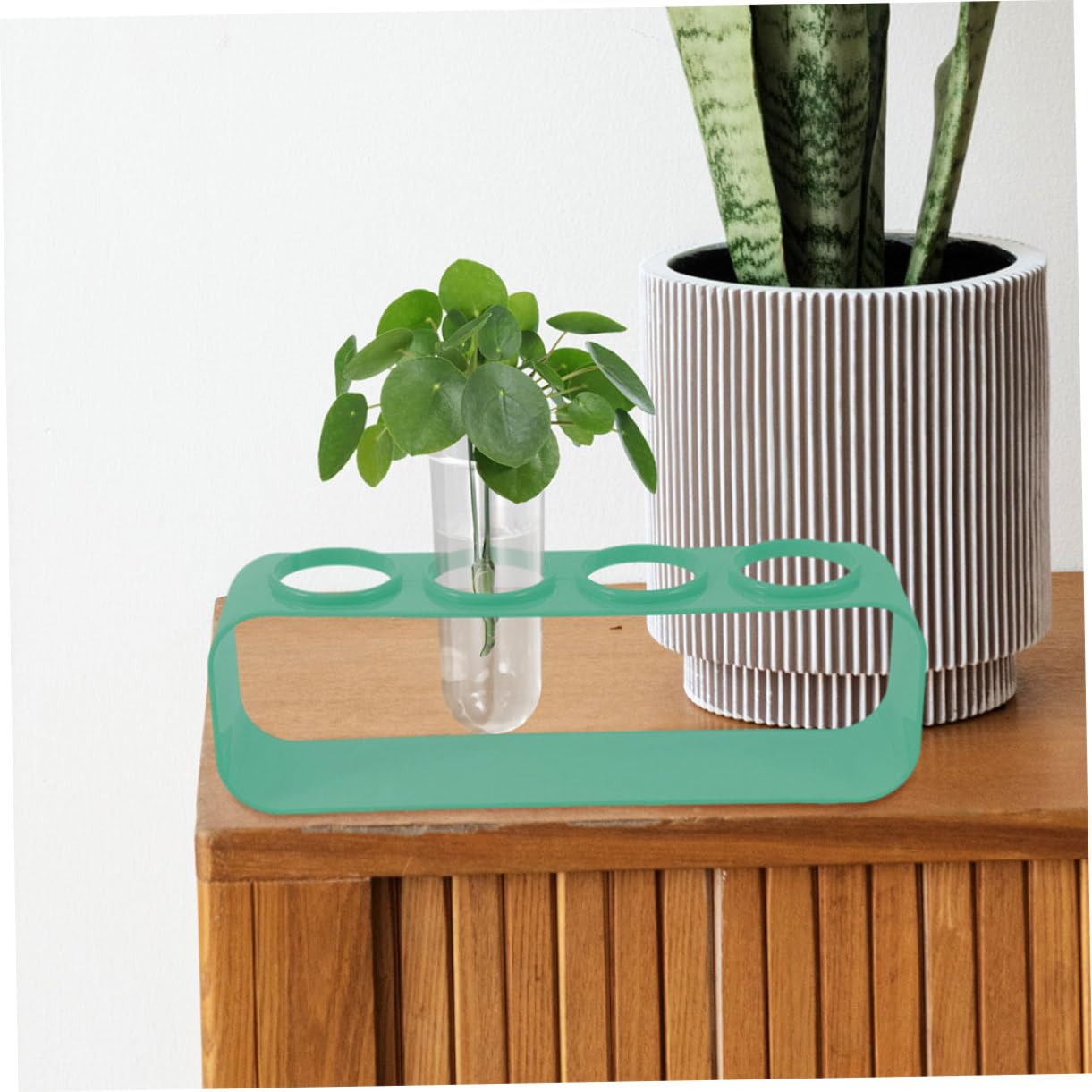 BESPORTBLE 5pcs Glass Test Tube Vases Set Hydroponic Plant Vase for Balcony Flower Preservation Plant Terrarium Indoor Planter