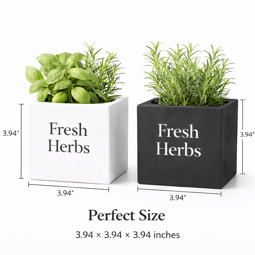 Fresh Herbs Planter Set of 2 (White & Black), 3.94'' Square Indoor Herb Pots for Kitchen Countertop, Modern Minimal Planters for Home Décor