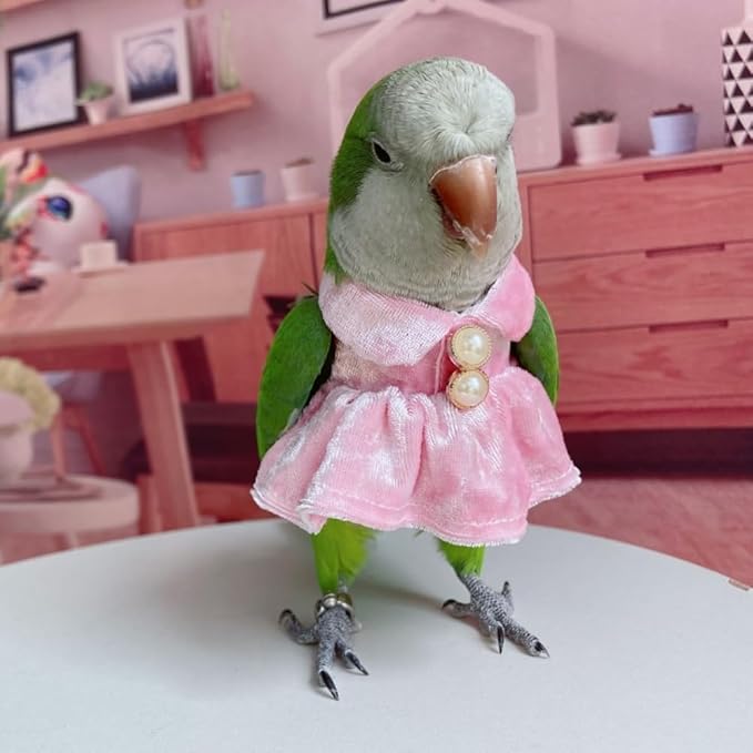 Bird Costume Bird Diaper Flight Suit Parrot Velvet Fleece Skirt Clothes Cosplay Photo Prop for Conure Lovebird Parakeet Cockatiel Macaw Small Animals Apparel (Pink,Large)