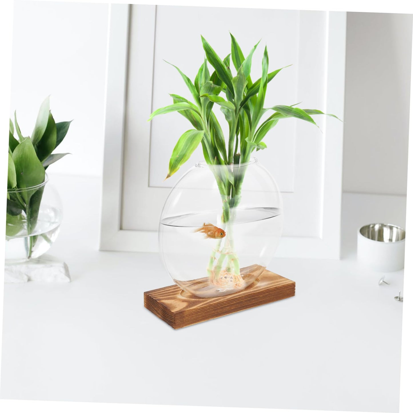 KESYOO Creative Hydroponic Vase with Transparent Glass Pot and Wooden Base for Soilfree Plant Propagation Indoor Terrarium and Elegant Flower Display Easy Setup and Maintenance