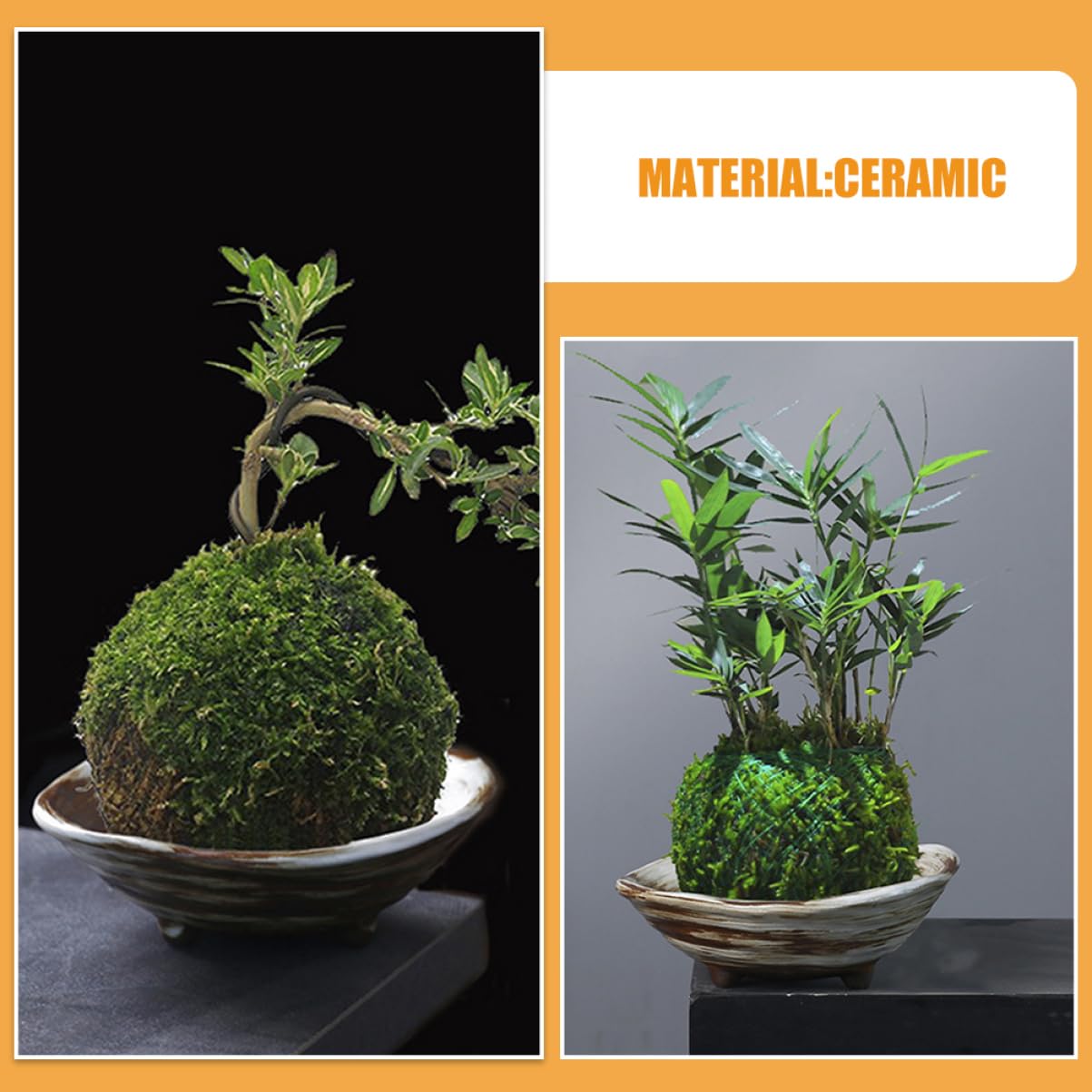 GALPADA Elegant Japanese Ceramic Moss Ball Bonsai Planter Versatile Footed Bowl Garden Decor Easy to Clean