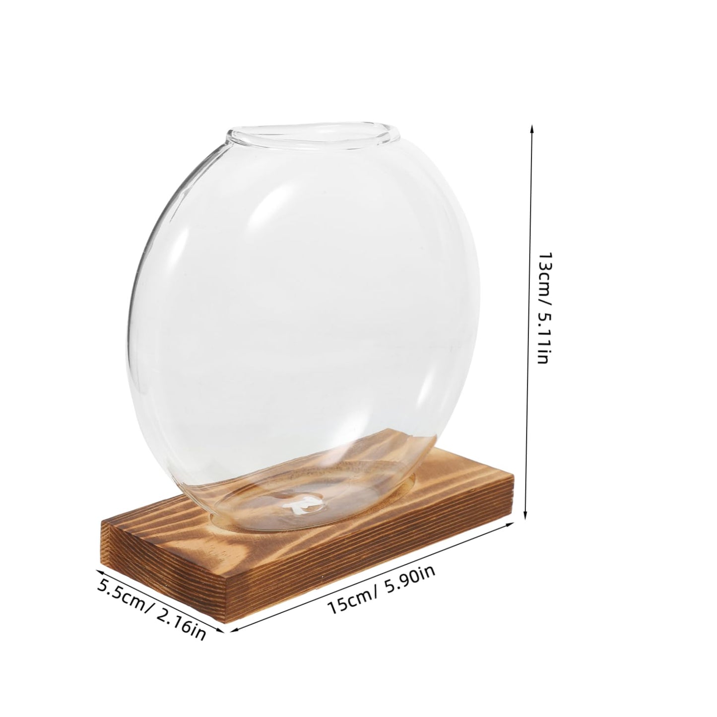 Totority Desktop Hydroponic Glass Plant Propagation Station with Transparent Vase and Wooden Base Soil Indoor Terrarium for Home Office Decoration and Tea Ceremony Display