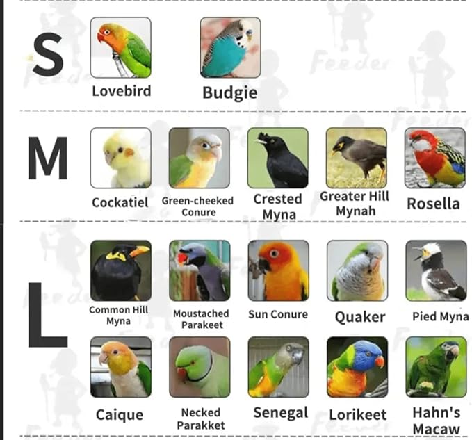 Bird Flight Suits Diapers, Parrot Diapers for Monk Parakeets, Cockatiels, Parrot Clothes Costume, Bird Training Nappy Suit Liners Clothes (Large,Pink)