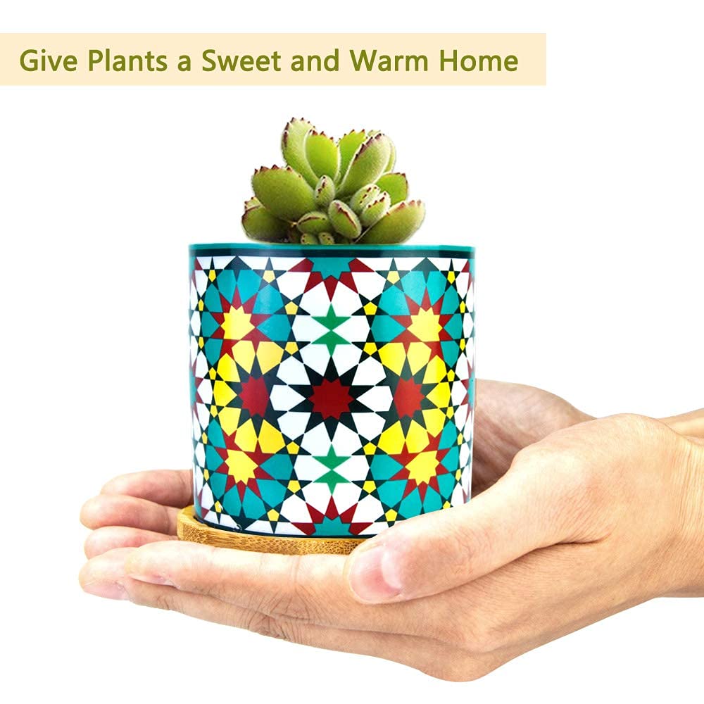 Ascrafter 6 Pack Mandala Succulent Plant Pot with Bamboo Trays, Ceramic Multicolored Succulent Container Planter Pot for Small Plant