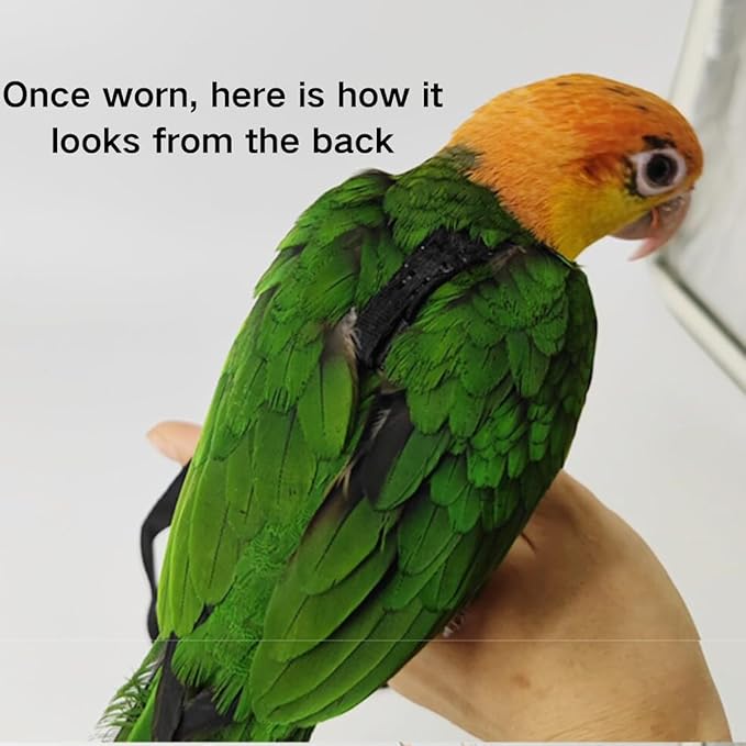 Adjustable Bird Harness and Leash for Parrots Outdoor Flight Training Anti-Bite Light Weight Easy-to-Wear Bird Vest with 59 Inch Elastic Leash for Quaker Conure African Grey Macaw Cockatoo (S)