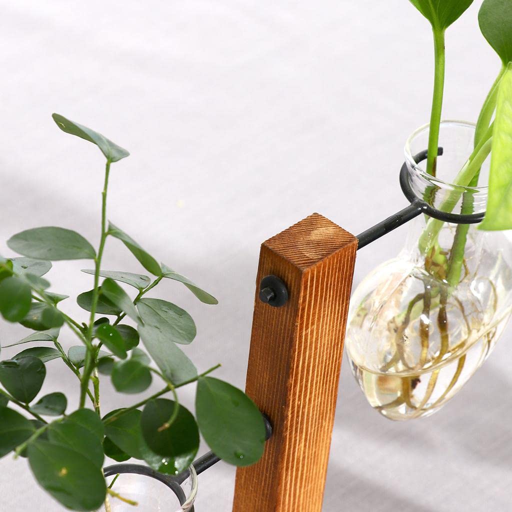 Baoblaze Desktop Plant Terrarium Glass Vase, Suitable Plants, Flowers, 15x10cm