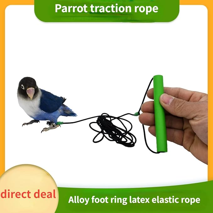 Bird Foot Chain with Flying Latex Elastic Training Rope Outdoor Parrot Ankle Foot Ring Accessories Bird Harness Leash Prevent Escaping (Model4-With 78.7inch Leash)