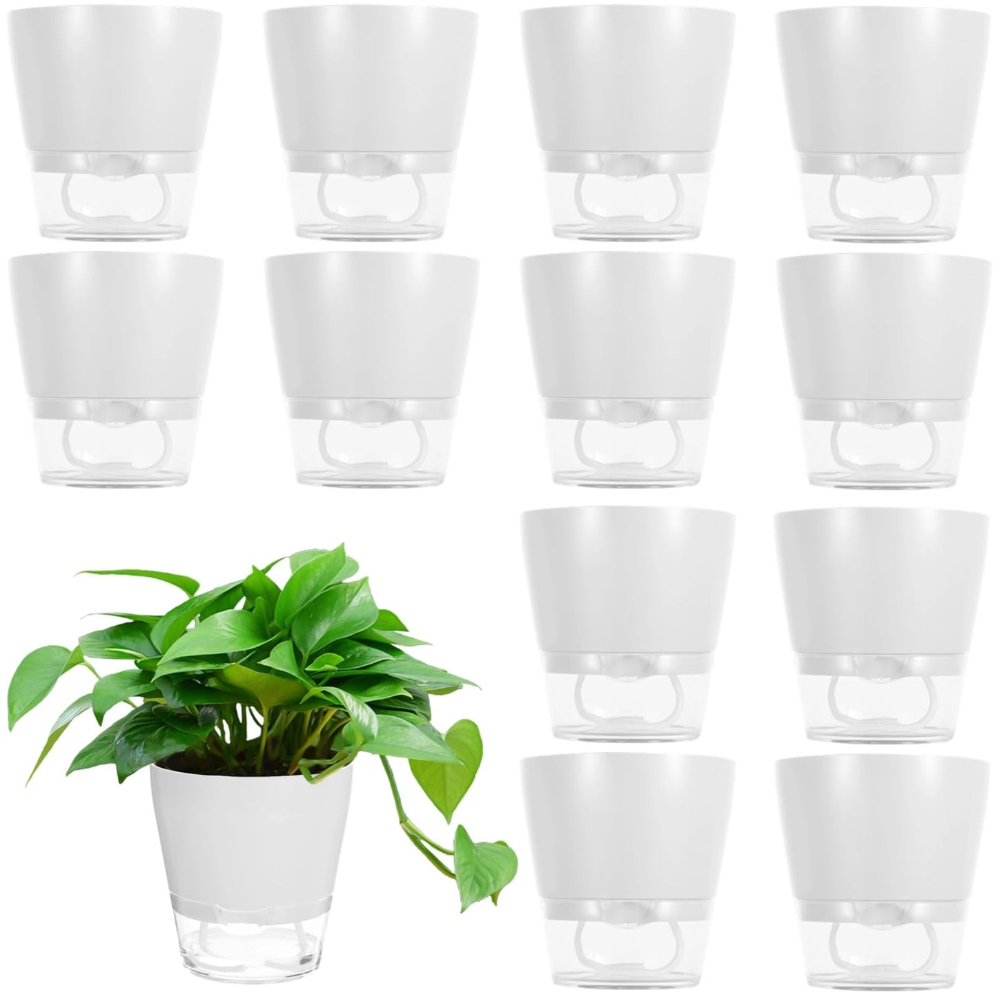 Skdqiee 12 PCS Self Watering Succulent Pots, 6 in Flower Planters with Clear Saucer Reservoir, Home Office Plastic Flower Pots with Wick Rope, White