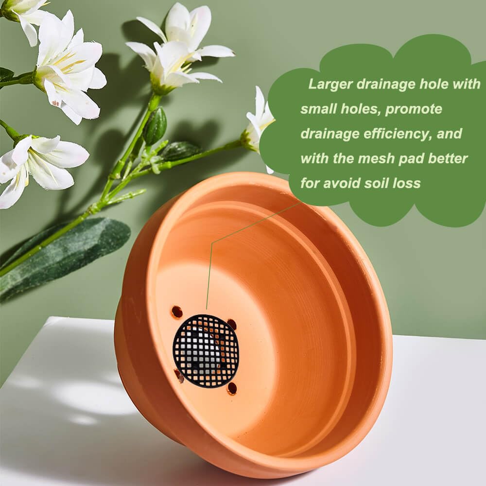 5 Inch Shallow Terracotta Pot for Succulent - 6 Pcs Small Shallow Plant Pots with Drainage Hole and Saucer Mesh Pad, Clay Plant Pottery Pots for Cactus Succulent and Other Indoor Outdoor Plants