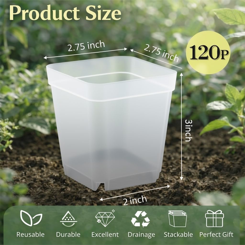 RooTrimmer 120 Packs Square Clear Nursery Pots with Drainage, 2.7 Inch Plastic Seedling Pots for Indoor Plants, Thickened Small Transplant Pot for Seed Starting Succulents Vegetables Lettuce Flowers