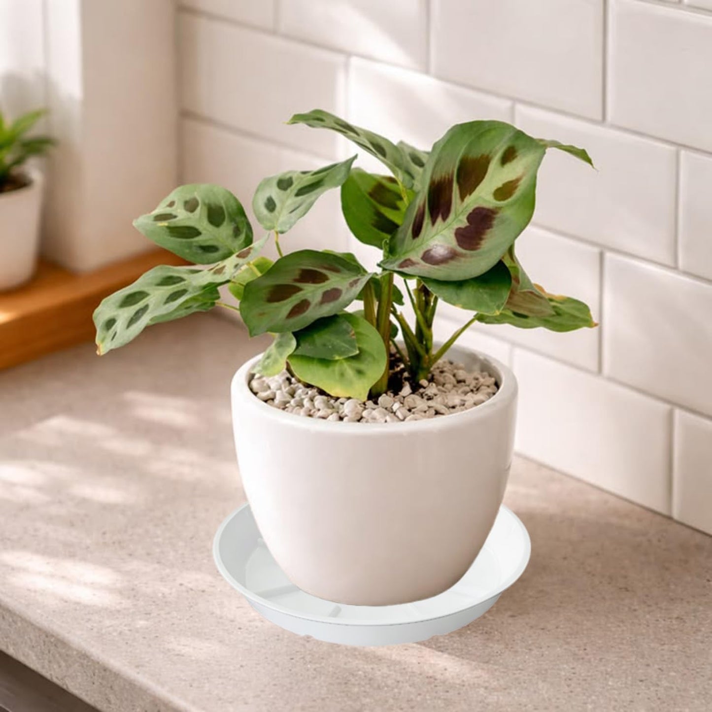 Grjoprt 2 Pack of Plant Saucers 10 Inch, Thick Durable Plastic Plant Drip Trays for Indoors Outdoors, Flower Pot Saucers Water Catcher Tray for Planters, No Holes Drainage Trays (White)