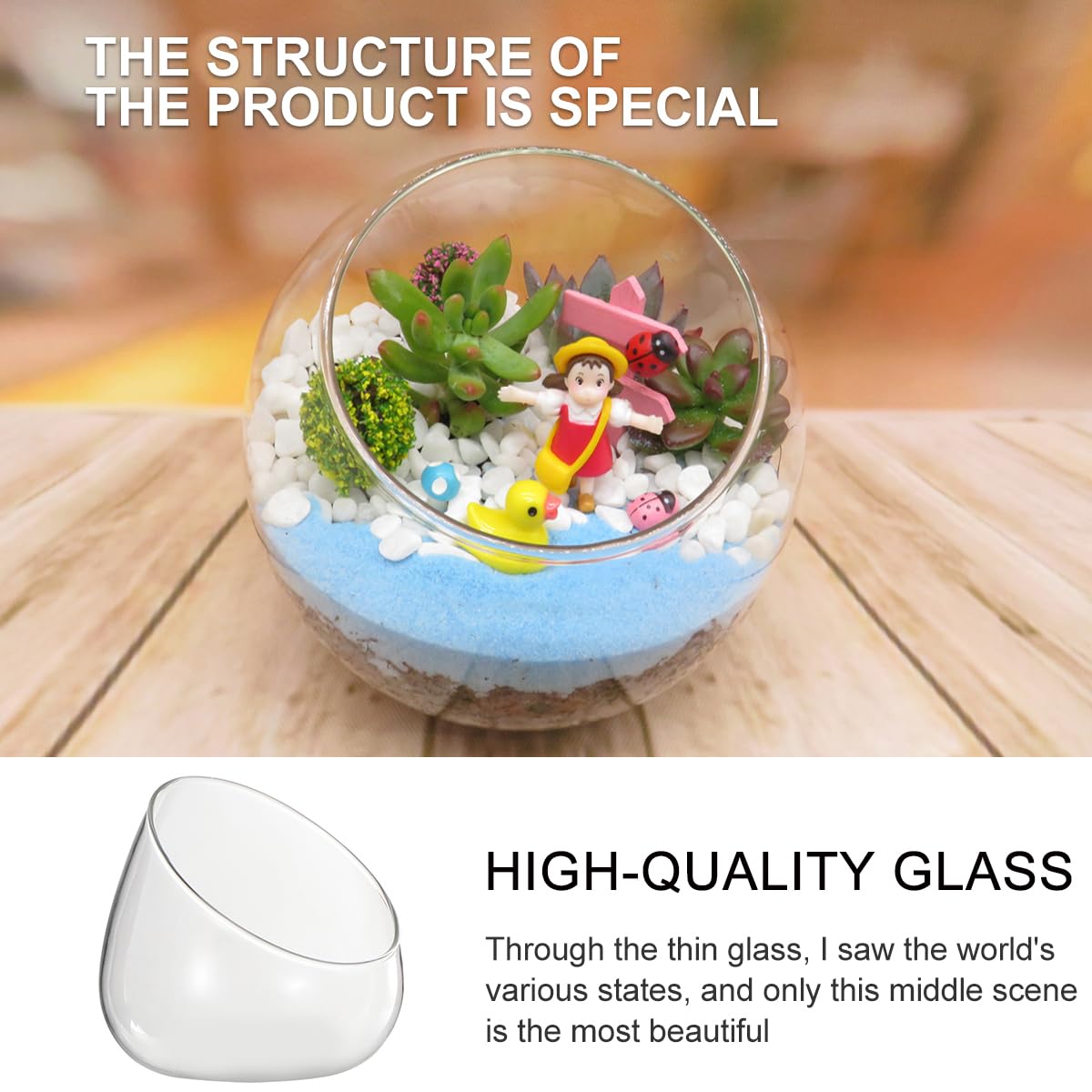 HOMSFOU Slant Cut Glass Terrarium Bowl 4.72 Inch Clear Micro Landscape Container for Succulent and Air Plants Home Office Wedding Decor