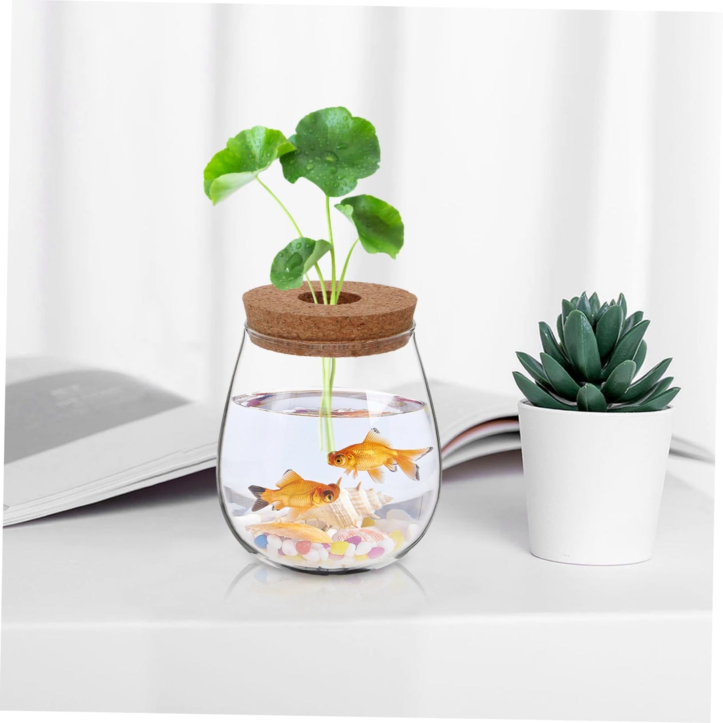 FUNOMOCYA Creative Glass Hydroponic Planter Modern Transparent Vase for Indoor Plants Elegant Desktop Propagation Terrarium Glass Aquarium for Spaces and Home Decor