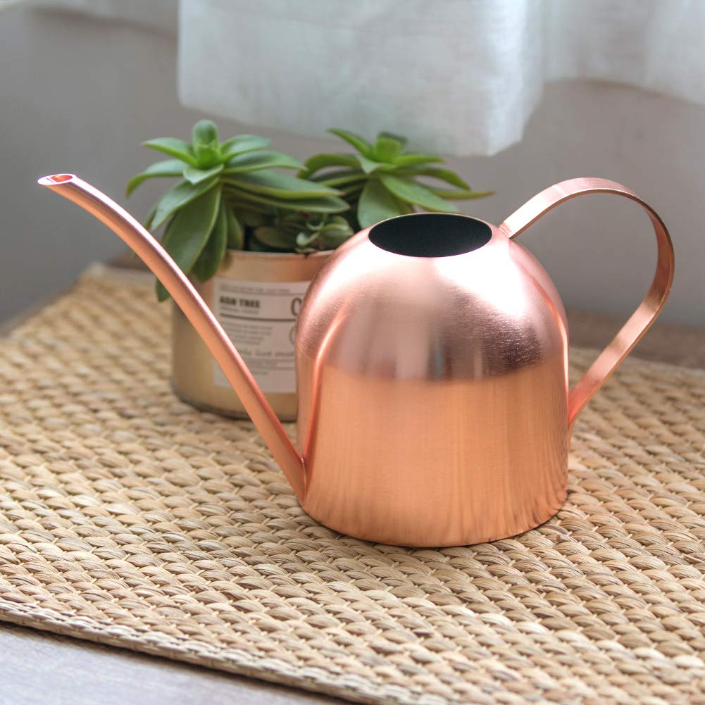 E.Palace Small Watering Can Indoor Plants Metal Watering Cans 15oz Capacity Cute Design for House Plants & Gardens (Rose Gold 15 oz)