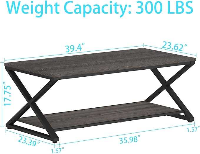 HSH Gray Storage Coffee Table, Modern Center Table