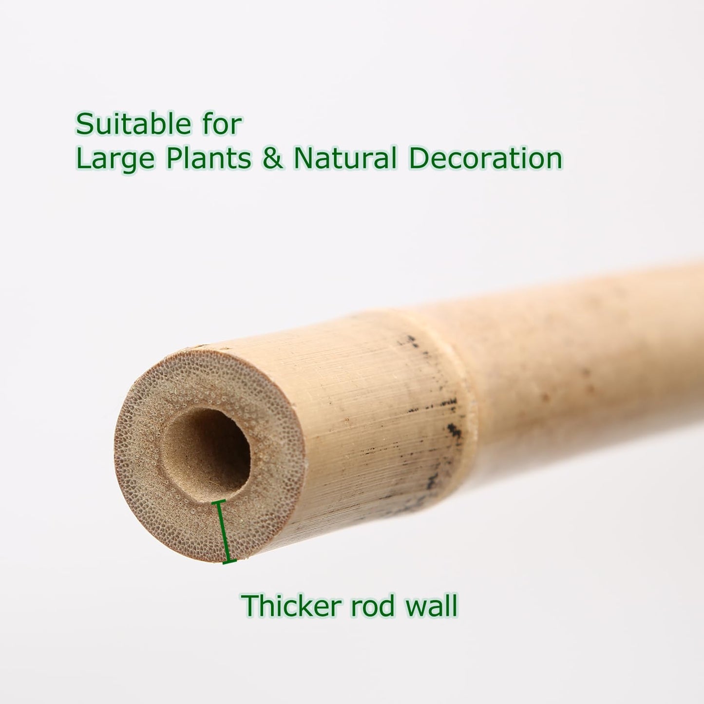 Cambaverd Bamboo Stakes 8 Feet, Diameter of 1 Inch Thicker Garden Stakes, Natural Plant Stakes for Tomatoes, Cucumbers, Grape Vine Climbing Plants Support and Natural Decoration - 10 Pack Bamboo Poles