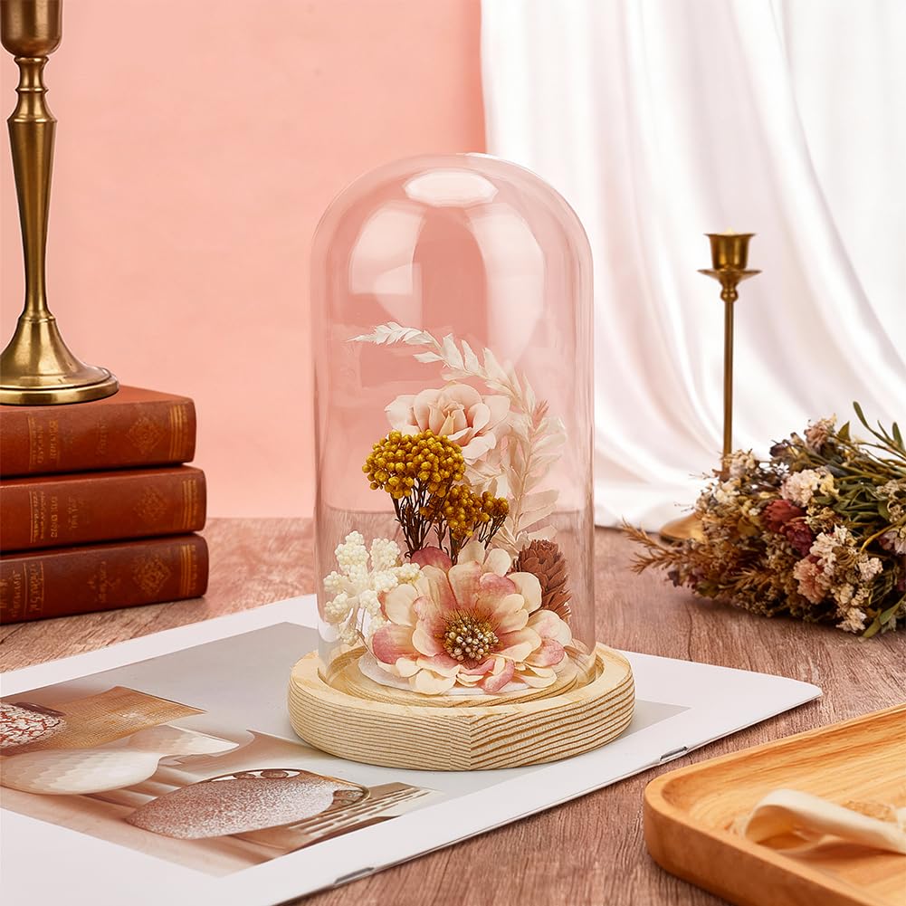 BENECREAT Glass Cloche Dome with Wood Base, 6.18x2.99inch Arch Display Dome for Plants and Collectibles, Complete Set Glass Bell Jar with Solid Wood Stand for Home Decor, Navajo White