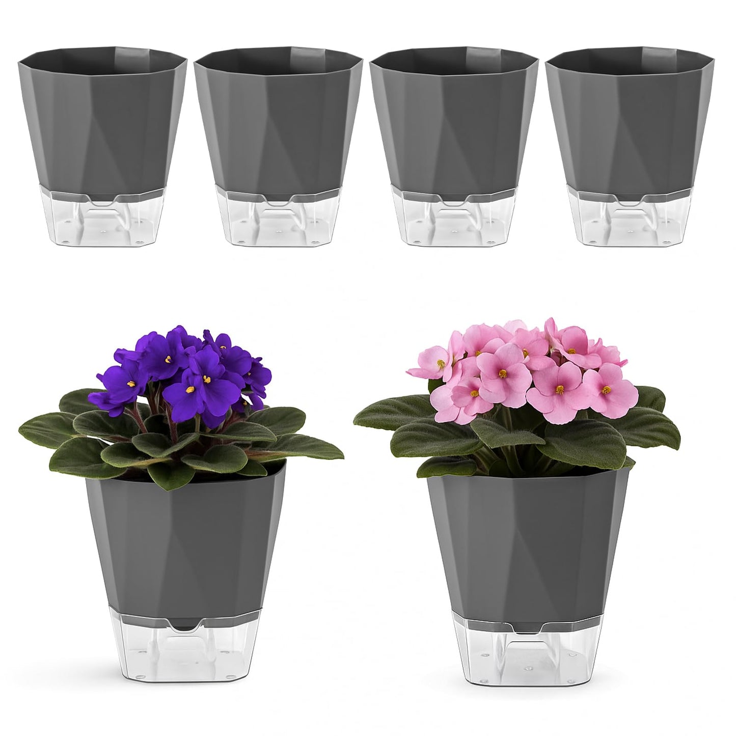 6 Pack Self Watering Pots for Indoor Plants, 5 Inches Self Watering Planters African Violet Self Watering Clear Pots for Plants Herb Orchid Flower Houseplant, Dark Grey