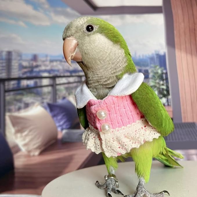 Bird Diaper Flight Suit - Pink Top Cosplay Photo Prop for Parrots, Lovebirds, Parakeets, Cockatiels & Small Animals - Crested Myna Size