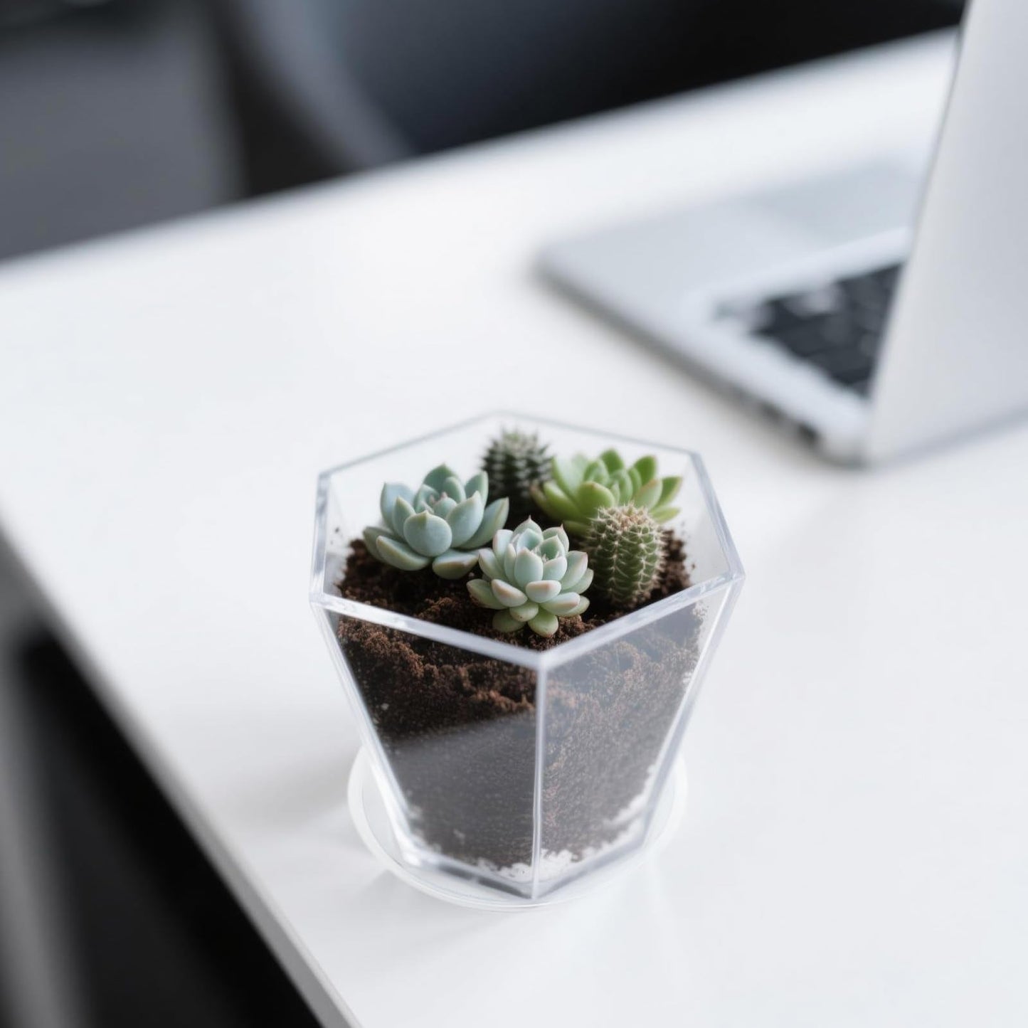 HappyDino Clear Plant Pot with Drainage Acrylic 6 inch Plant Pot Small Indoor Planter Box Outdoor with Saucer for Succulent, Decorative and Sturdy