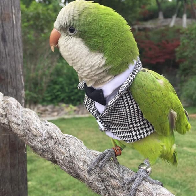 Bird Clothes Birds Flight Suit,Tuxedo Business Suit for Parrots African Greys Parakeet Cockatiel Sun Conure Christmas Party Birthday Cosplay Photo Prop Small Animals Apparel (S,Grid Suit)