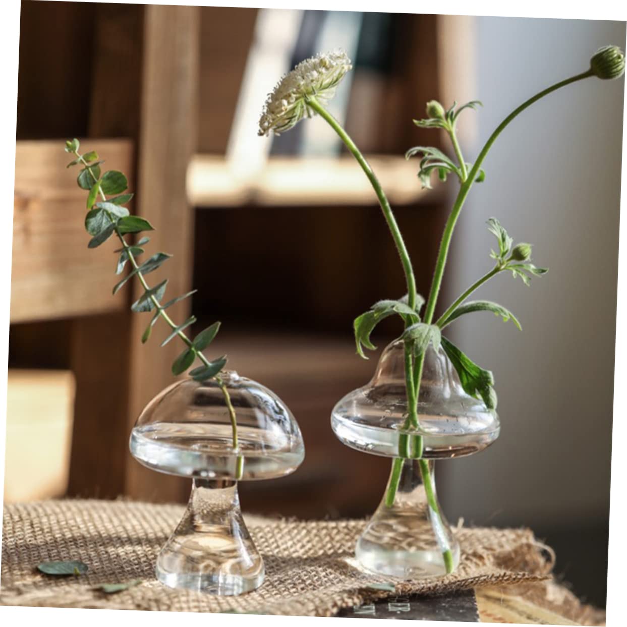 SOLUSTRE 2Pcs Mushroom Shaped Glass Vase Decorative Hydroponic Flower Pot for Home and Office Terrarium for Plant Propagation Stylish Indoor Decor
