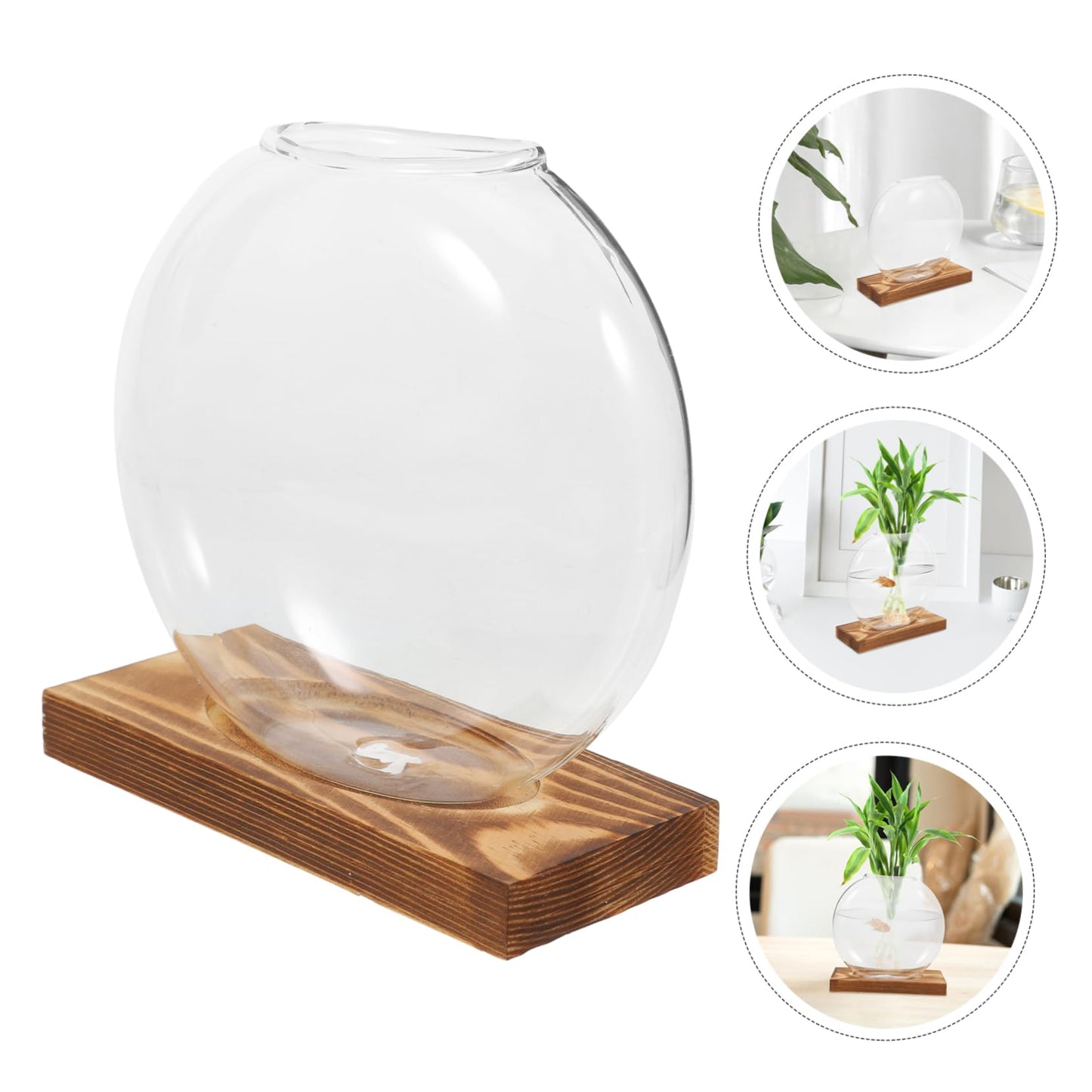 Totority Desktop Hydroponic Glass Plant Propagation Station with Transparent Vase and Wooden Base Soil Indoor Terrarium for Home Office Decoration and Tea Ceremony Display
