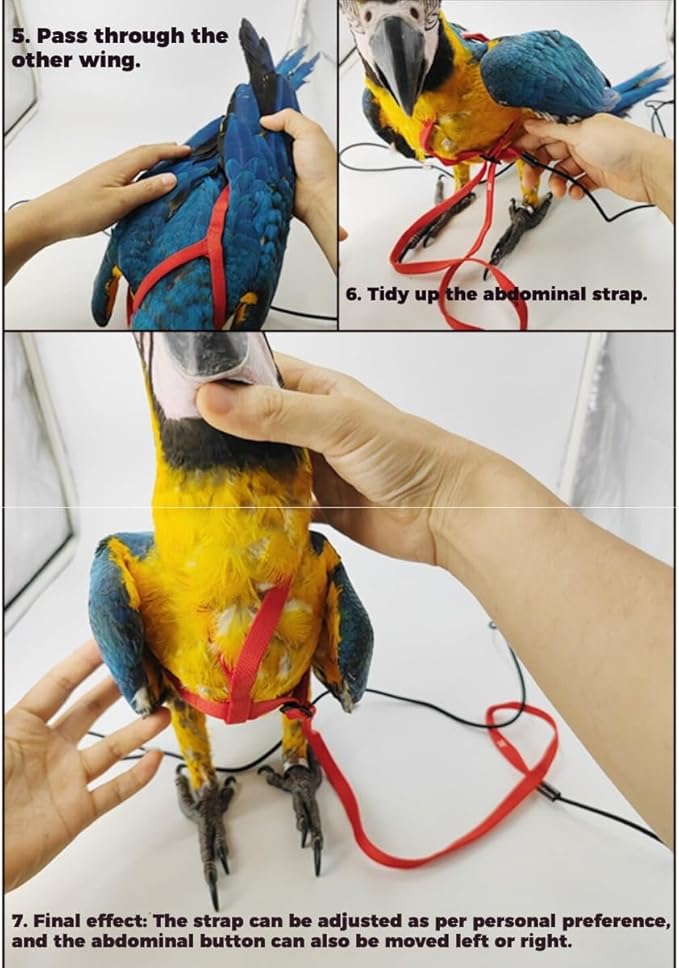 Adjustable Bird Harness and Leash for Parrots Outdoor Flight Training Anti-Bite Light Weight Easy-to-Wear Bird Vest with 59 Inch Elastic Leash for Quaker Conure African Grey Macaw Cockatoo (XS)