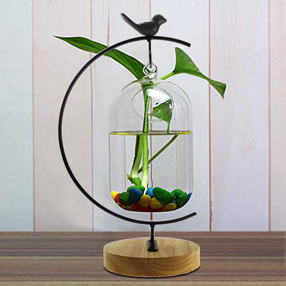 Archi G-Shaped Ornament Display Stand Iron Pothook Stand for Hanging Glass Globe Air Plant Ornament Stand Iron Pothook Stand Terrarium and Christmas Decoration with Wood Base