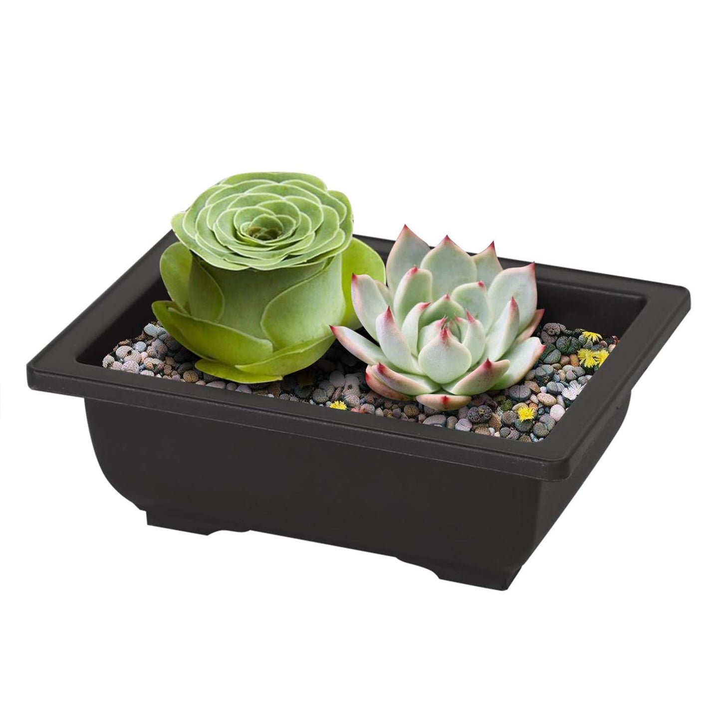 MANCHAP 20 PCS 8.9 Inch Plastic Bonsai Training Pots, Rectangular Bonsai Tree Planter Pot for Garden, Yard, Office, Home Decorative