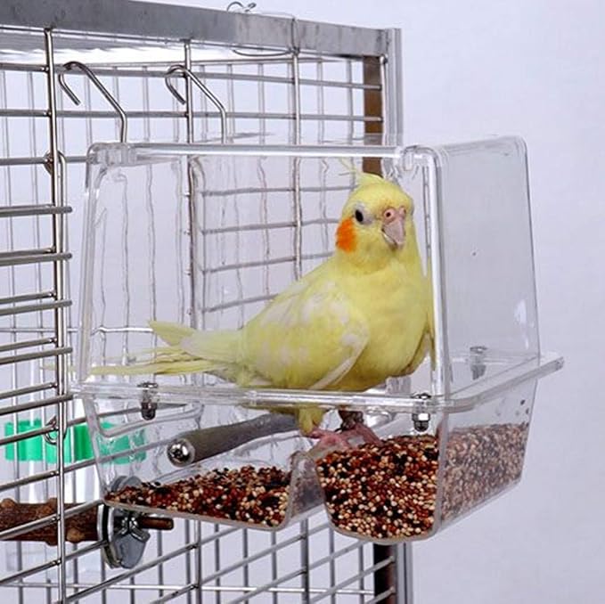 No-Mess Bird Feeder NO Assembly with Rough-surfaced Stainless Steel Perch (5.9x6.3x6.3(HxLxW))