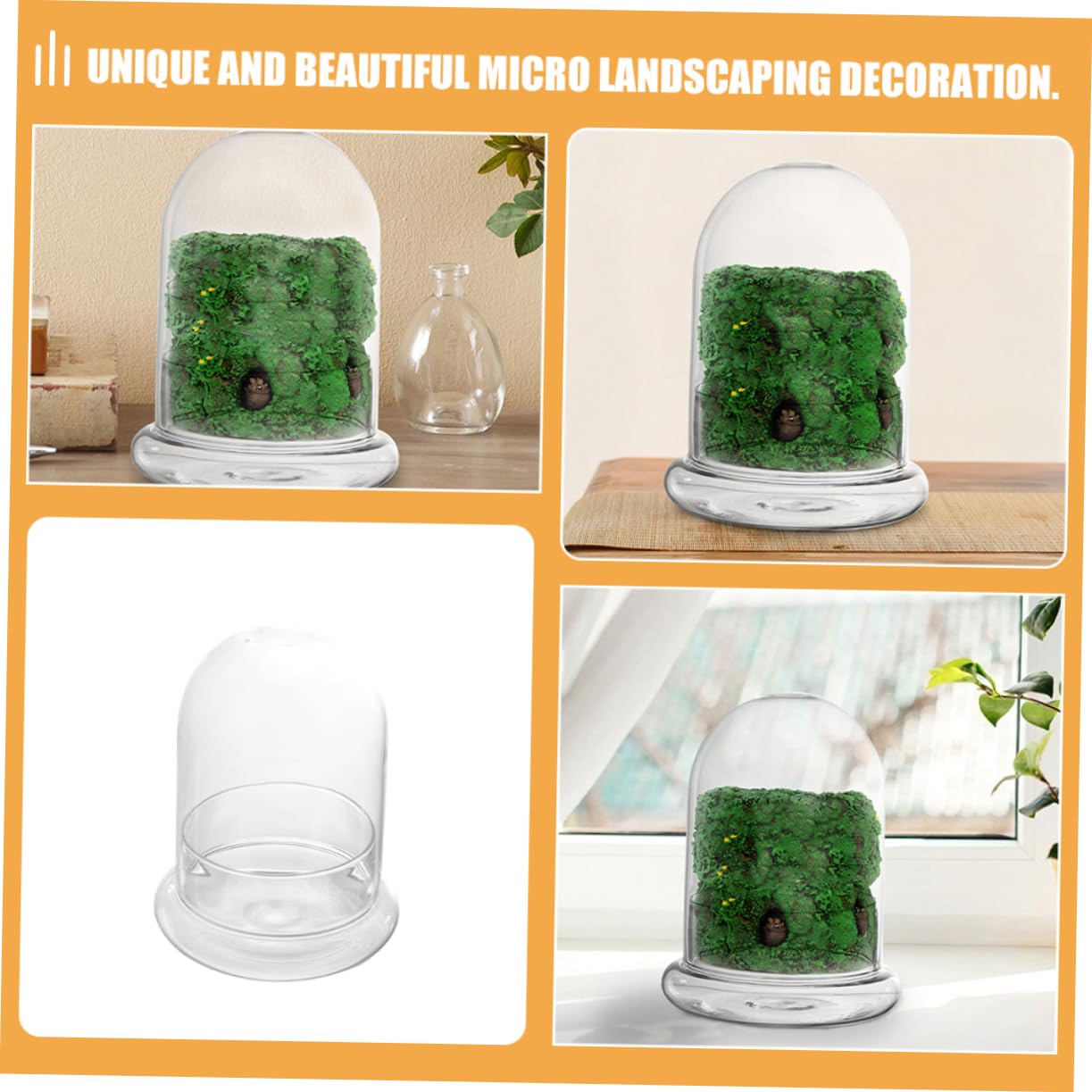 Totority 2pcs Glass Ecological Terrarium Bottle for DIY Micro Landscape Display Decorative Container for Desk Plants and Miniature Gardens