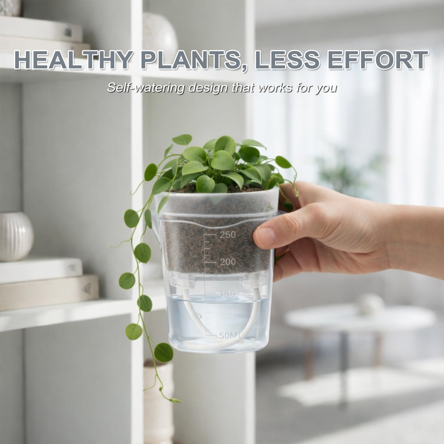 12 Pack 2.5" Small Self Watering Pots for Indoor Plants, Mini Clear Plastic Planters with Water Level Drainage Holes, 12 Plant Labels, Semi-Hydro Propagation Pots for Hoya, African Violets, Alocasia