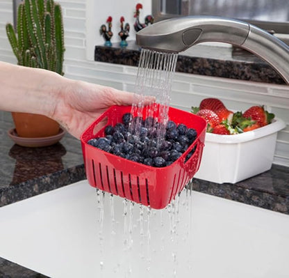 Hutzler 3-in-1 Berry Keeper Colander and Container, Keeps Berries Fresh Longer, 2 Pints, Apricot