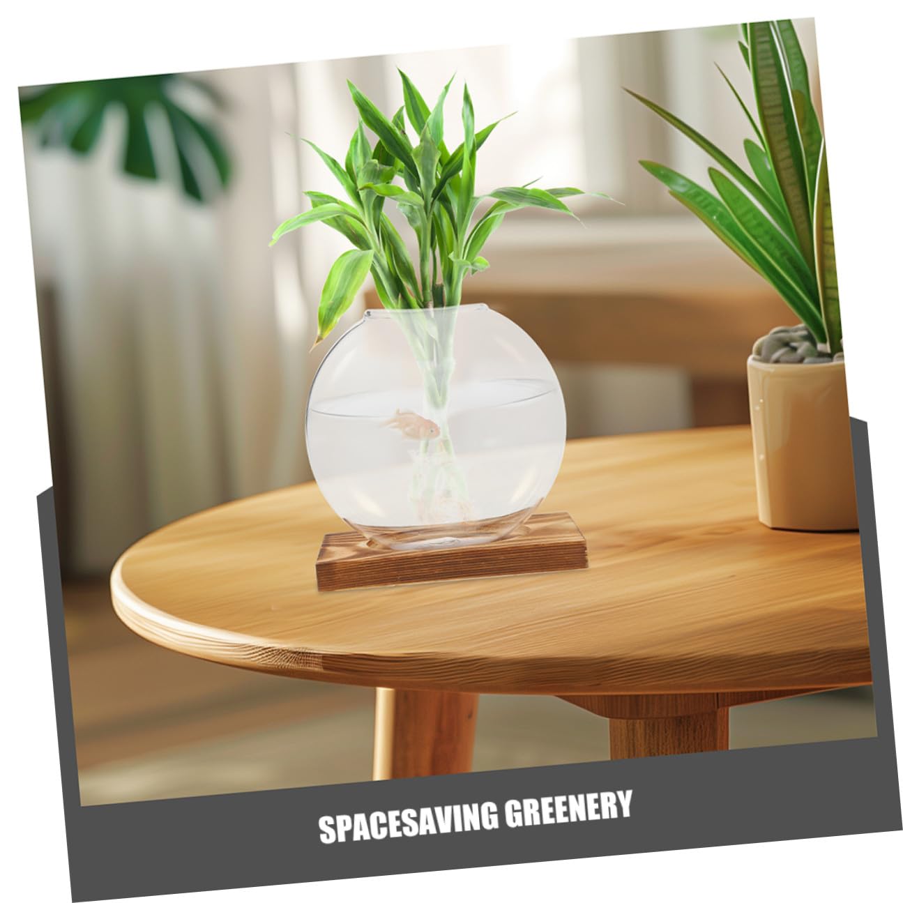 VALICLUD Glass Plant Propagation Station with Wooden Base, Hydroponic Small Glass Vase for Indoor Plants, 2pcs Terrarium for Home and Office Décor